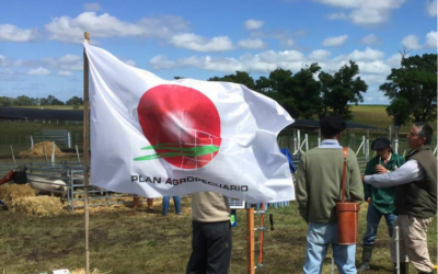 Las características ambientales son propicias para los parásitos.