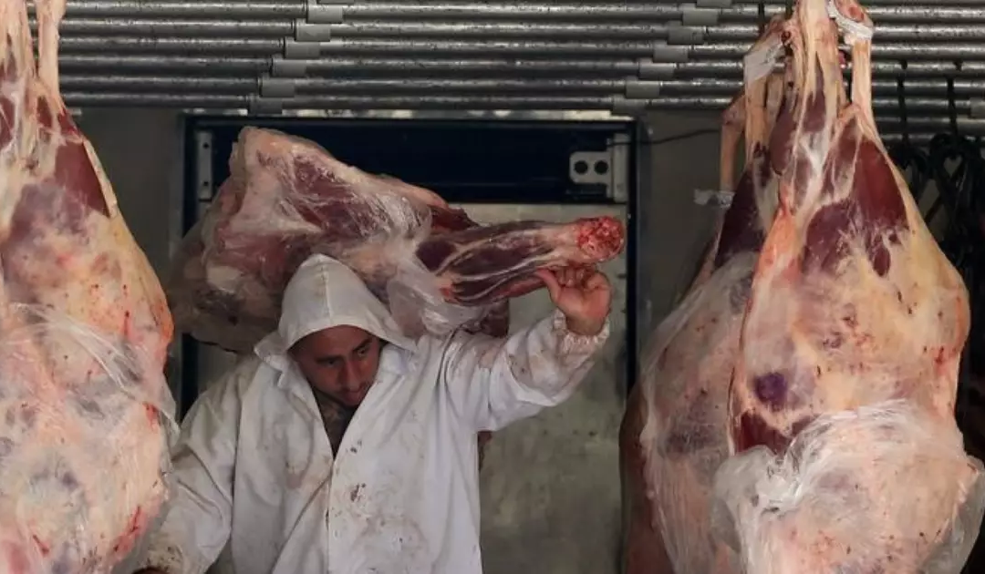 En un esfuerzo interinstitucional se refuerza controles de vehículos que transportan carnes.