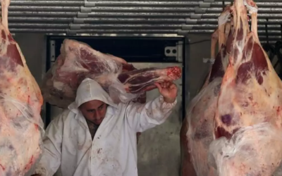 En un esfuerzo interinstitucional se refuerza controles de vehículos que transportan carnes.