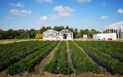 A pesar de de lo necesario que es, en España faltan estudiantes de Agronomía.