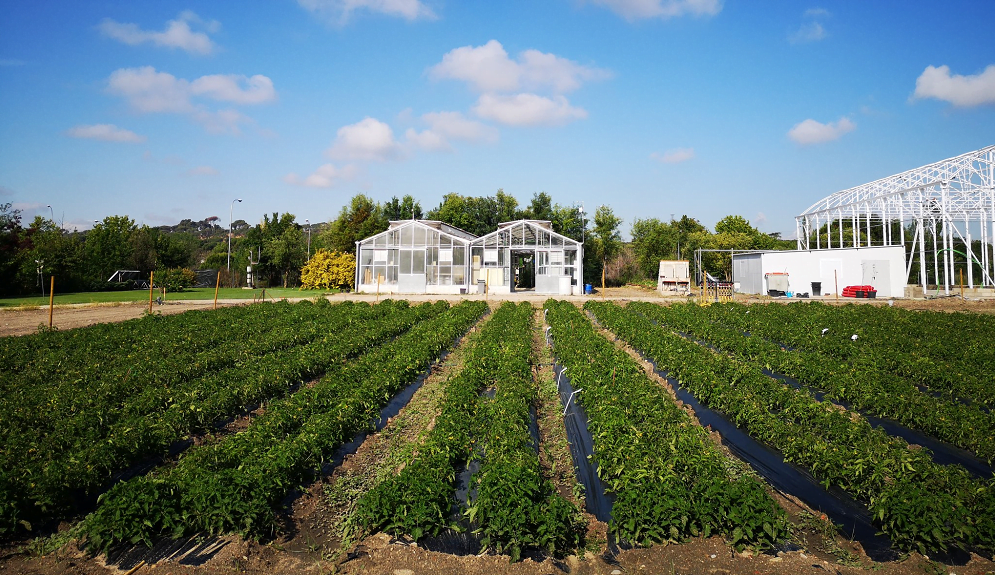 A pesar de de lo necesario que es, en España faltan estudiantes de Agronomía.