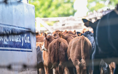 Valdez & Cía. presentó su cartelera de remates.