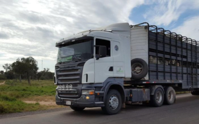 Paraguay: la disminución de la faena golpea a transportistas.