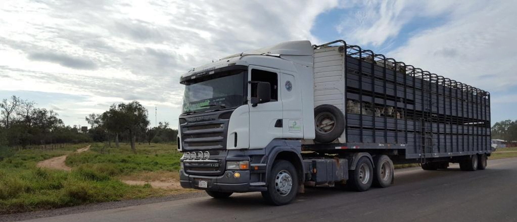 Paraguay: la disminución de la faena golpea a transportistas.