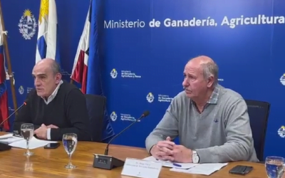 Se lanzó la campaña de vacunación contra la aftosa.