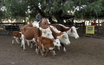 Juan Carlos Martínez tuvo una pista trabajosa y ajustada al momento en Cuchilla de Silvera.