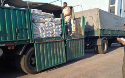 Continúa la entrega de ración para terneros a productores familiares de todo el país.