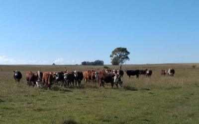 Mañana, taller para seguir en carrera a pesar de la sequía.
