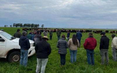Ducos de Fucrea: “Las producciones de carne en las empresas ganaderas han sido muy malas”.
