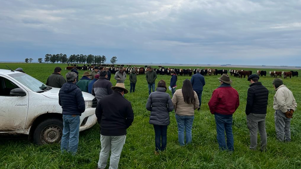 Ducos de Fucrea: “Las producciones de carne en las empresas ganaderas han sido muy malas”.