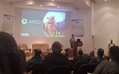 Difícil ecuación ganadera: “Tenemos menos kilos, precios más baratos, costos más altos, tipo de cambio e inflación”.