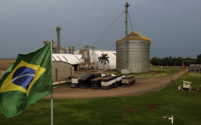 Exportaciones de agronegocio brasileño alcanzan valor récord en primer semestre