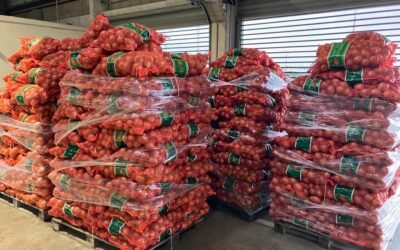 Trabajo conjunto de tres ministerios y Aduanas logró la incautación de casi 60 toneladas de cebollas.