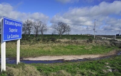 Escuela Agraria La Carolina continúa destacándose como oferta educativa nacional.