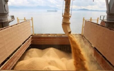 Precios de los productos agrícolas.