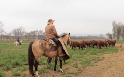 Uruguay entre los 11 países menos rurales del planeta.