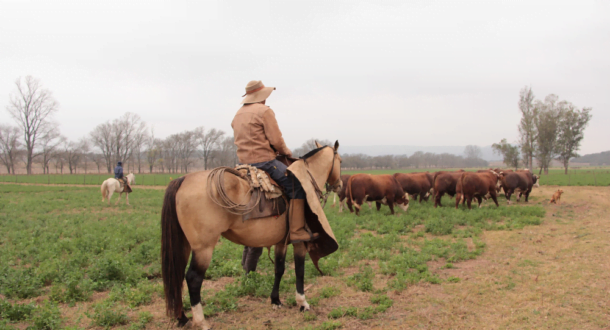 Uruguay entre los 11 países menos rurales del planeta.