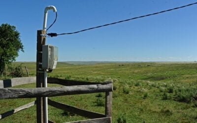 Viviendas sin servicio de electrificación rural: de 4.600 de 2019 a 800 en 2024.