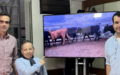 Cartelera de remates de Valdez & Cía.