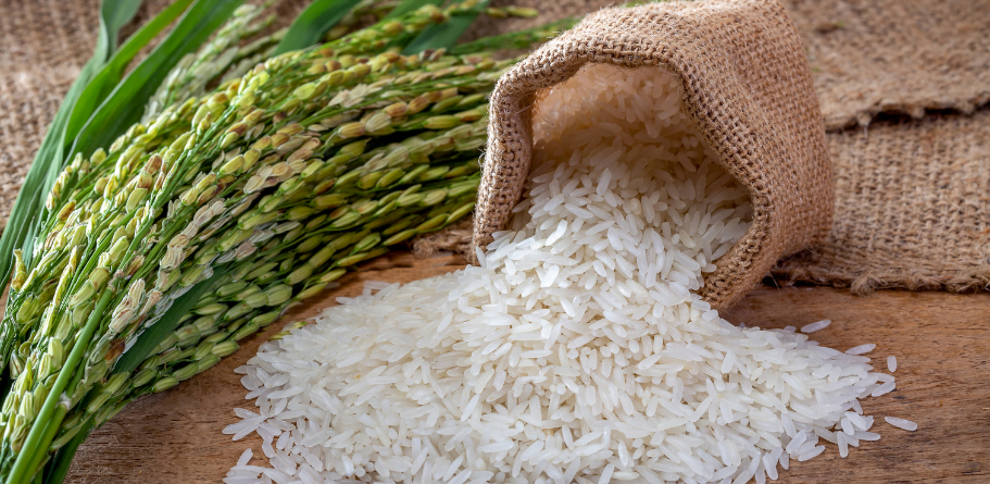 Brasil importa 263.000 toneladas de arroz en una operación que algunos dicen fue innecesaria.
