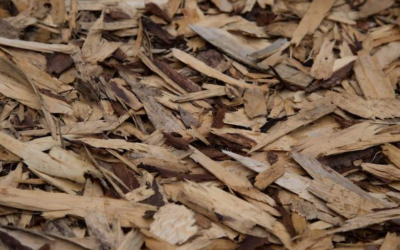 El hierro ayuda a producir grafeno a partir de virutas de madera