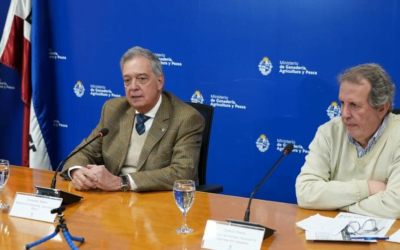 Desde el 1° de julio se puede presentar la Declaración Jurada Anual Dicose.