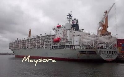 Puerto de Montevideo. Ganado en pie para Turquía y chips para Portugal, además de una inversión millonaria.