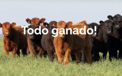 A las 09.00 comienza el remate de Pantalla Uruguay.