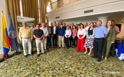 Influenza Aviar. Junto a la FAO, especialistas discuten el uso de vacunas para controlar el virus.