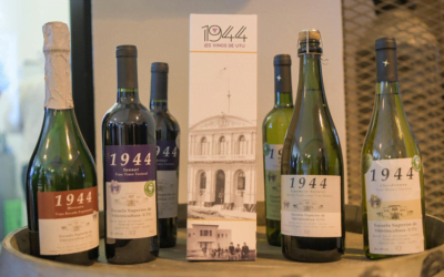 Los vinos de UTU. Vitivinicultura: tecnología de punta para una escuela modelo