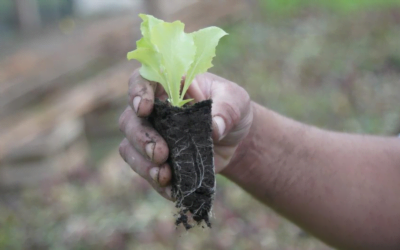 La Comisión de Agroecología llama a elaborar un plan de comunicación interna y externa.