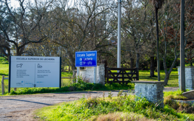Escuela Superior de Lechería: formación internacional con desempleo cero.