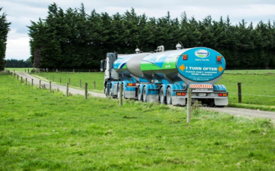 La leche en polvo entera se recupera en un 5,3%