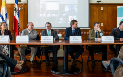 En noviembre comenzará la construcción del primer edificio de madera en altura del Uruguay.