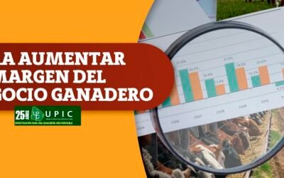 El 17 de agosto será la 24ª edición de UPIC.