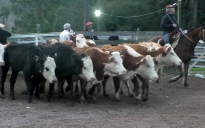 Con Montero & Fernández, la agilidad pautó la pista del Campanero.