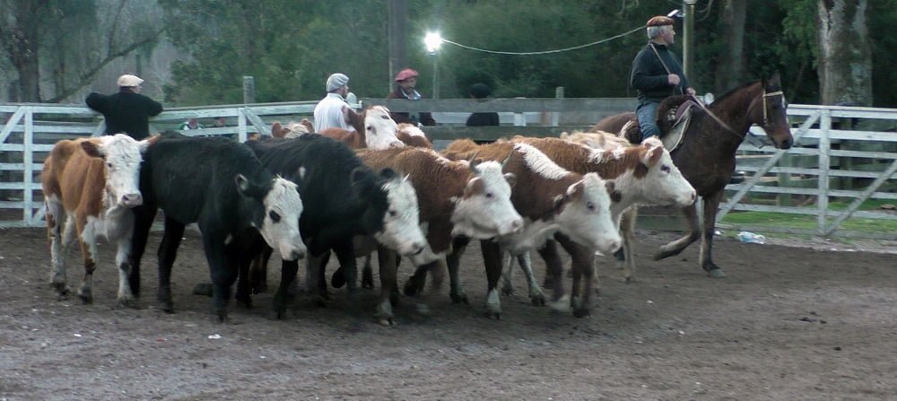Con Montero & Fernández, la agilidad pautó la pista del Campanero.