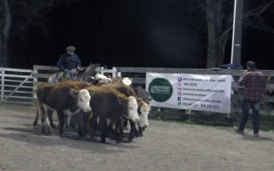 Montero & Fernández tuvieron una pista ágil y tonificada en Campanero.