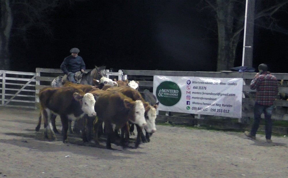 Montero & Fernández tuvieron una pista ágil y tonificada en Campanero.