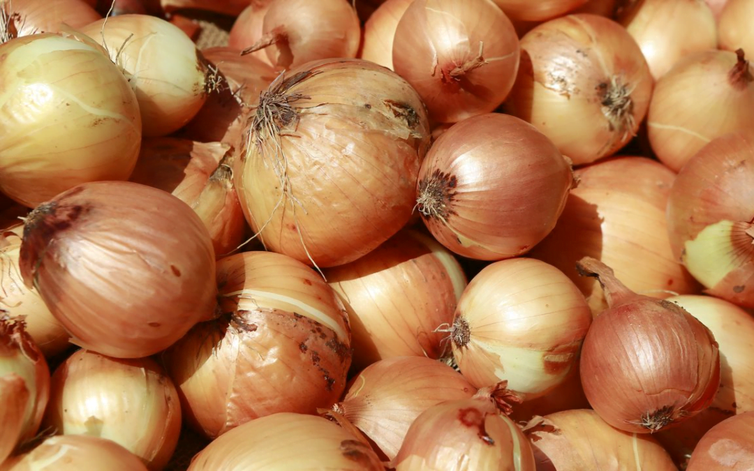 Bajan los precios de las cebollas.