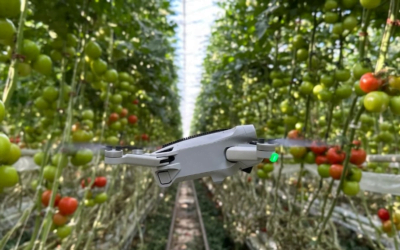 Polinizadores artificiales, ¿la solución para una agricultura segura y rentable?