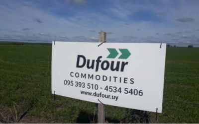 Panorama agrícola. Análisis de Davy Dufour.