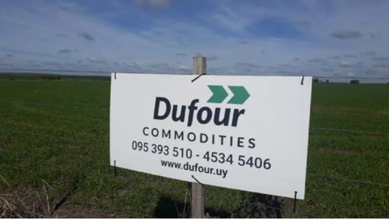 Momento bisagra para los granos. Informe de mercado de Dufour Commodities.