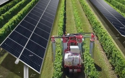 La energía agrivoltaica combina generación de energía a través de sol y la producción agrícola.