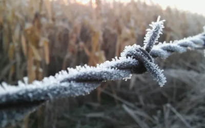 Uruguay espera una ola de frío que durará varios días.
