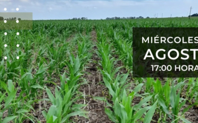 Hoy jornada sobre pastura y maíz, en la Rural de Durazno.