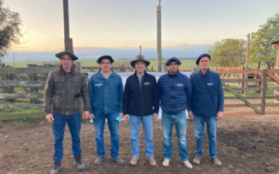 Valores de Valdez en La Higuerita; el 16 de agosto la firma rematará importante oferta en Lote 21.