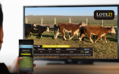 Lote 21 finalizó el remate de agosto, el próximo será desde la Expo Prado.