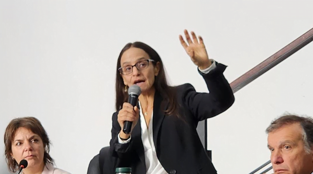 3.000 vacunos en Turquía: “¿Quién es responsable de ellos y de la reputación de todo un sector del país?”.