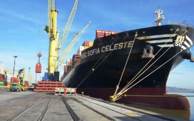 En agosto volvieron a bajar las exportaciones completando un año de caídas.